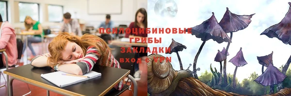 прущие грибы Балабаново