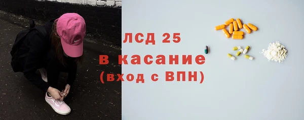 прущие грибы Балабаново