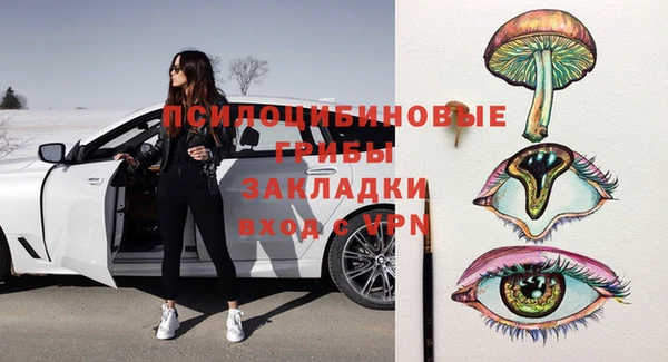 PSILOCYBIN Новодвинск
