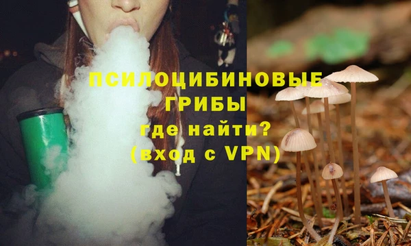 прущие грибы Балабаново